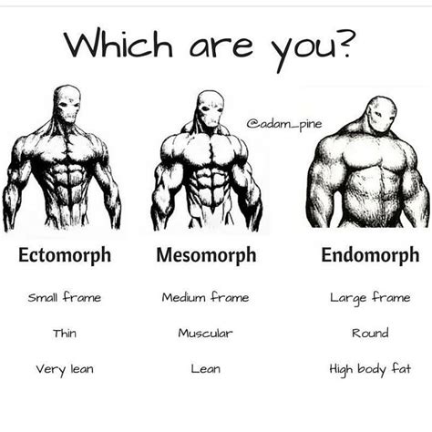 Interesting post from @adam_pine breaking down the 3 different body ...