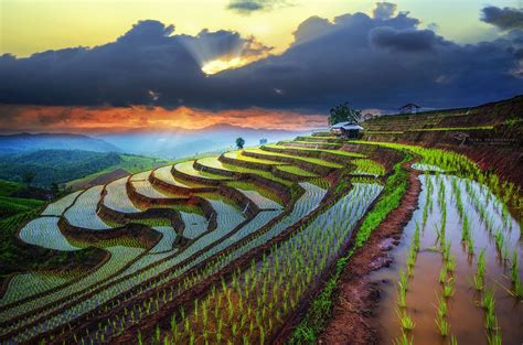 Rice Terraces, Chiang Mai, Thailand | Rice Terraces | Pinterest | Rice paddy, Chiang mai ...