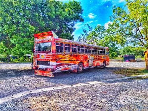 Weli Rajini Bus | Bus skin design, Blue bus, Bus city