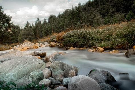 Scotland's National Parks — Scottish Campaign for National Parks