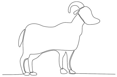 Premium Vector | A horned goat for sacrifice eid aladha oneline drawing