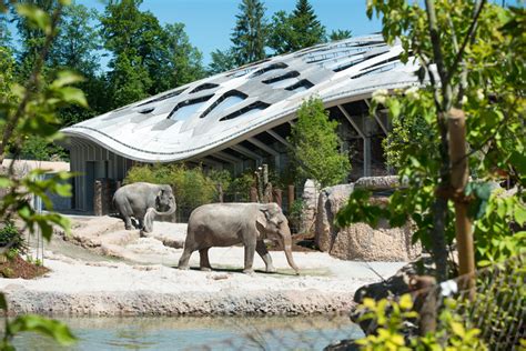 markus schietsch architekten caps elephant sanctuary with timber geodesic roof in zurich