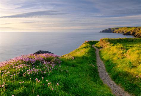 West Wales: The Ultimate Guide - Coast & Country Holidays