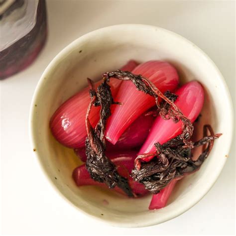 Red Shiso Hakuhou Rakkyo (Japanese Scallion) Pickles - Kokoro Care Packages