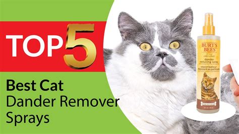 Top 5 Best Cat Dander Remover Sprays Reviews in 2024 - YouTube