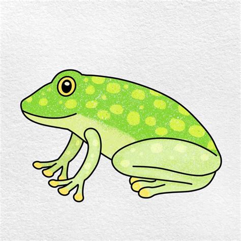 How to Draw a Glass Frog - HelloArtsy