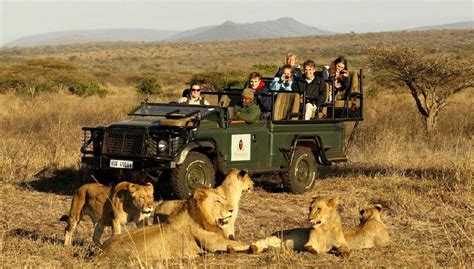 A sneak peek into Africa's KwaZulu-Natal through a safari | Options, The Edge