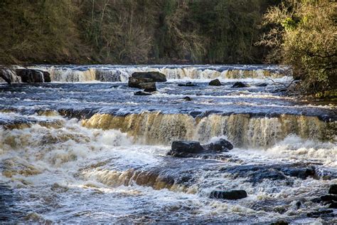 Aysgarth Falls walk - West Burton Falls walk - Yorkshire Dales walks