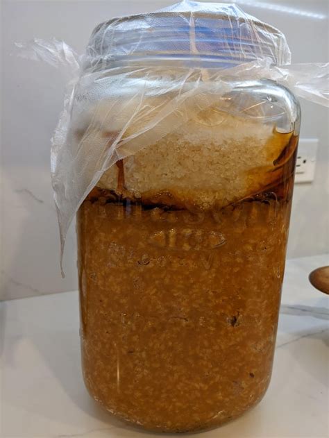 Miso at 6 months. : r/fermentation