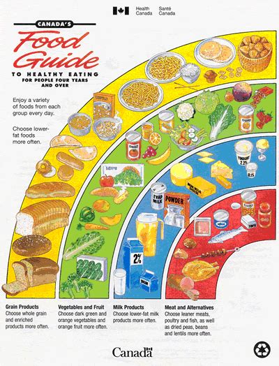 Where’s the Milk? The Changing Status of Milk Recommendations in Canada ...