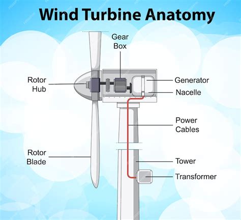 Schéma D'anatomie De L'éolienne | Vecteur Gratuite