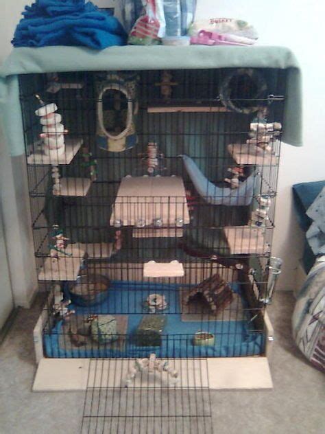 16 Marmoset cage ideas | cage, monkey cage, marmoset monkey