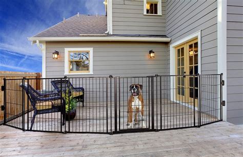 Cheap Dog Fence | The Best Affordable Fencing for Dogs