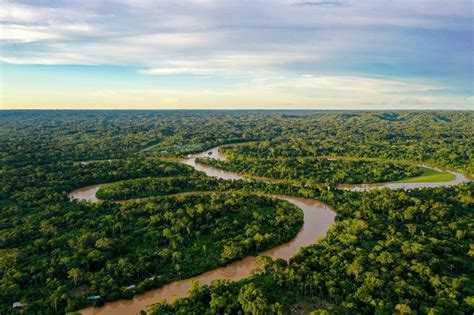 Amazonas al límite, 10 amenazas que demuestran que corre un grave peligro