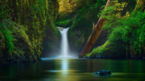 Beautiful Waterfall Lake Rocks Forest Green Leaves HD Nature Wallpapers | HD Wallpapers | ID #79018