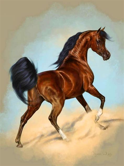 Arabian horse | Horses, Arabian horse art, Horse art