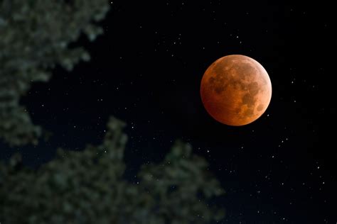 A NASA video shows what this month's lunar eclipse will look like from ...