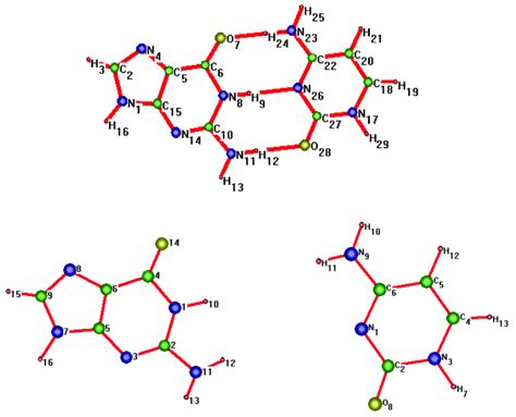 Cytosine-guanine pair (top) and separate molecules (bottom). | Download Scientific Diagram