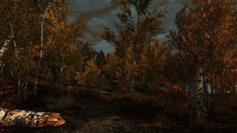 ENB Graphic Mod - My Realistic ENB グラフィックス - Skyrim Mod データベース MOD紹介・まとめサイト