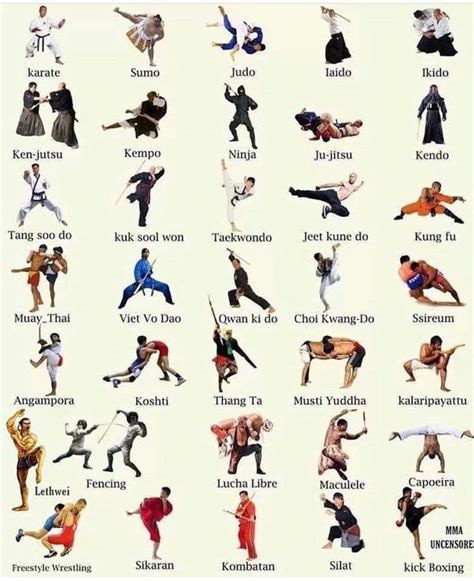 Martial Arts 101 - Your Combat Arts Cheat Sheet : martialarts