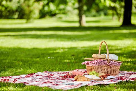 Come organizzare un picnic - Fatto in casa da Benedetta