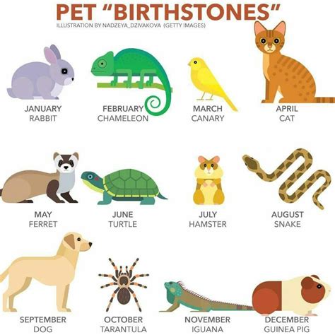 Which is your animal compared your birth month? Birth Month Symbols, National Holiday Calendar ...