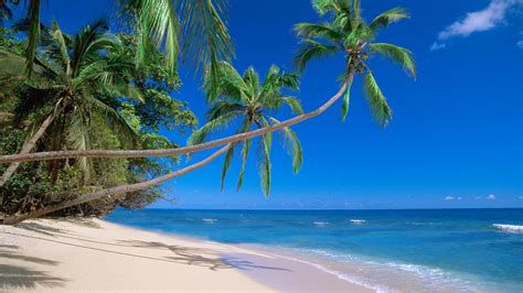 nature, Fiji, Beaches Wallpapers HD / Desktop and Mobile Backgrounds