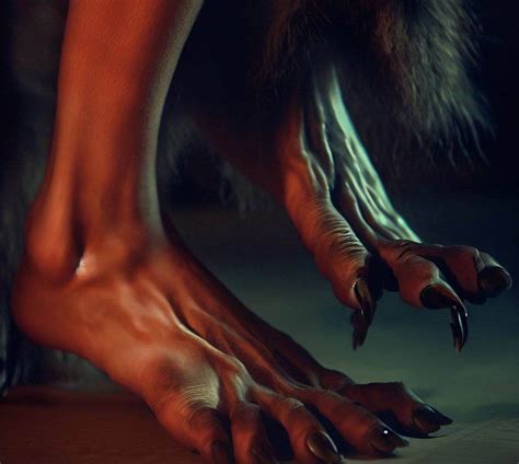 Female Werewolf feet transformation by RedtailTheBard on DeviantArt