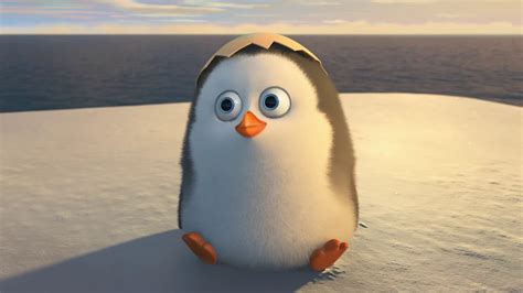 Cute Baby Penguins wallpaper | 1920x1080 | #45962