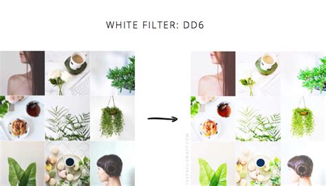 White Filters for a White Instagram Theme (+ Ideas) | White instagram theme, Instagram theme ...