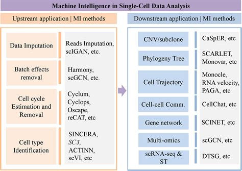 Frontiers | Machine Intelligence in Single-Cell Data Analysis: Advances and New Challenges