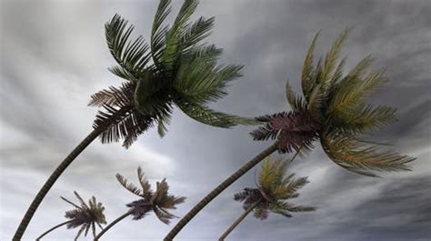 Palm Desert Weather: Heavy Rain, Damaging Winds Up to 75 MPH Predicted ...