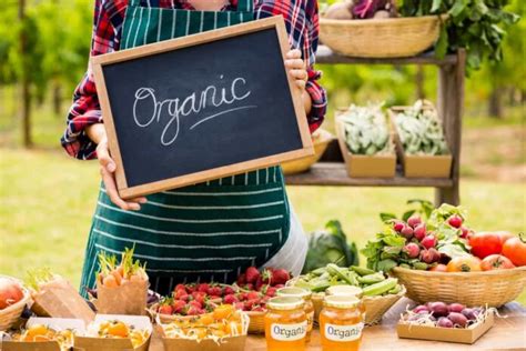 Organic Farming Certification Process in India: Key Rules for Organic Standards and Eligibility