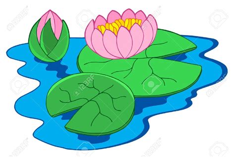 Water lily water clipart 20 free Cliparts | Download images on Clipground 2024