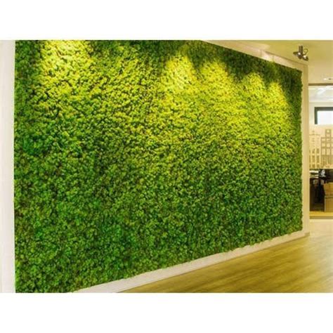 Plastic Artificial Green Grass Wall, For Decoration, Rs 100 /square ...