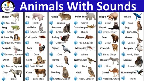 130+ Animals With Sounds Pdf | Animal Sounds List - Vocabulary Point