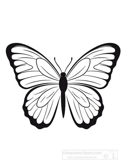 Animal Outline Clipart-butterfly black outline coloring clipart