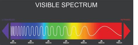 Which color has the shortest wavelength and the highest amount of energy? You may use the ...