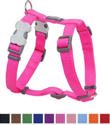 Red Dingo Classic Dog Harness, Hot Pink, Small - Chewy.com