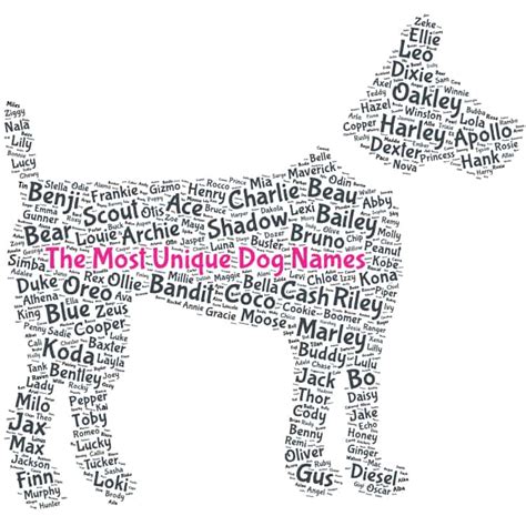 Unique Dog Names - Ultimate Dog Name Guide 2022 - SparkyGo