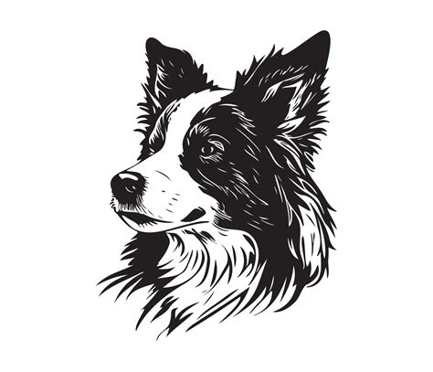 border collie Face, Silhouette Dog Face, black and white border collie ...