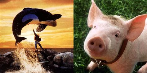 10 Best Movies Where The Protagonist Is A Live-Action Animal, Ranked By To IMDb