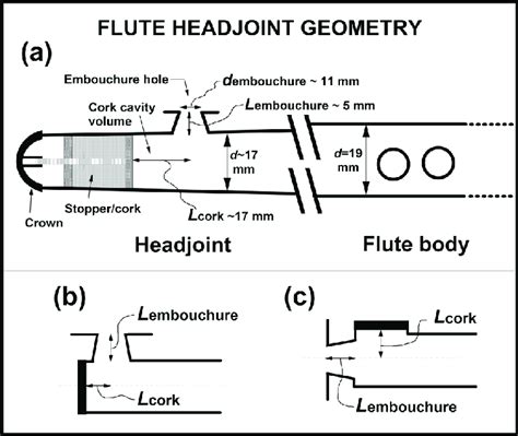 Cross-section schematics of flute headjoint geometry: (a) headjoint... | Download Scientific Diagram