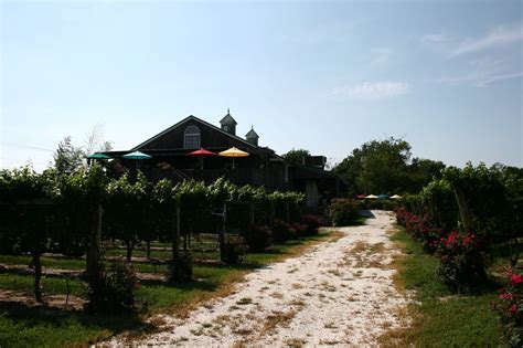 Cape May Winery and Vineyard - 115 Photos - Tours - Cape May, NJ ...