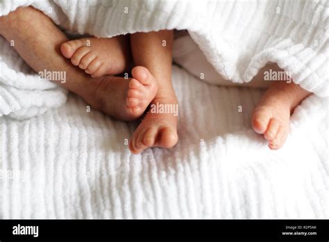 baby feet 6 - twins Stock Photo - Alamy