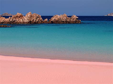 7 Most Striking Pink Beaches of the World - Travelstart.co.za