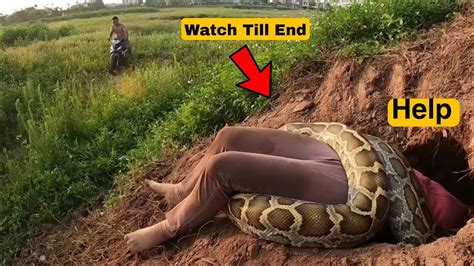 OMG! A guy attacks by Giant Python Snakes! MUST WATCH Snake attack video, Fish trap video - YouTube