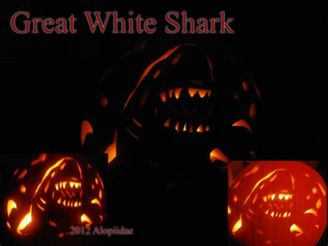 Shark Pumpkin Carving by Alopiidae on DeviantArt