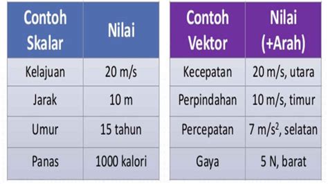 Contoh Besaran Vektor dalam Ilmu Fisika, Berikut Ini Penjelasannya