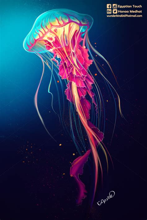 the jellyfish on Behance | Jellyfish painting, Jellyfish art, Jellyfish illustration